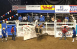 THREE RIVERS INVITATIONAL BULL RIDING EVENT SET FOR THIS WEEKEND AT THE FORUM RIVER CENTER