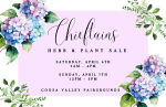 CHIEFTAINS HERB & PLANT SALE ON TAP FOR THIS WEEKEND