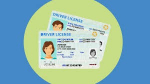 AAA: REAL ID DEADLINE APPROACHING