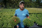 GNTC TO HOST FALL MUM SALE SEPTEMBER 15-18
