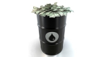 AAA: FROM DROP TO POP – GEORGIA GAS PRICES BOUNCE BACK UP