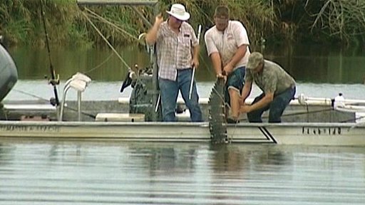 Two Florida Teens Attacked by Alligators in Less Than a Week