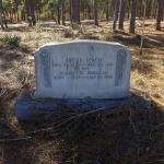 What’s Up With The Random Weird Graves In The Woods In North Carolina? – Cash