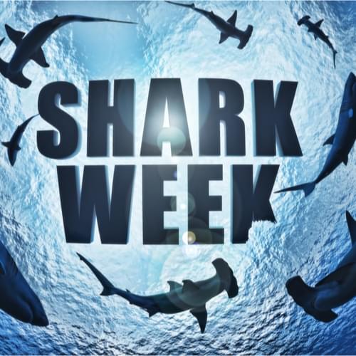 Dream Job Alert for Shark Week Fans!