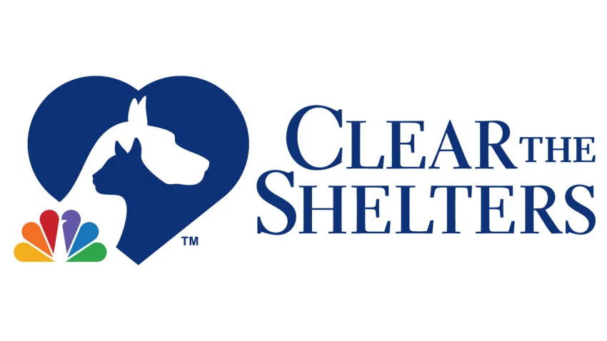 Clear the Shelters