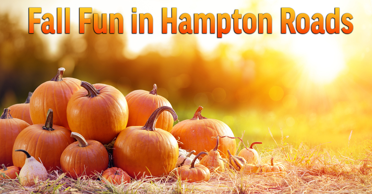 Fall 2024 Get a List of Pumpkin Patches, Hayrides, and Haunted Houses