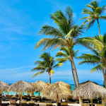 Annaliese’s Adventures: Punta Cana, Dominican Republic