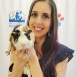 Calling All Guinea Pig Lovers! Virginia Beach Animal Care Needs Your Help