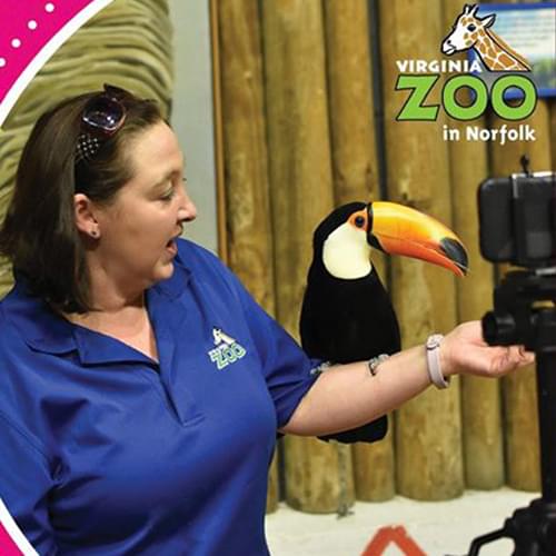 Virtual Classroom with the Virginia Zoo