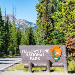 Explore Yellowstone National Park: Take a Virtual Walk Through Dragon’s Mouth Spring, Upper Falls and More!