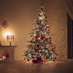 Recycle and Donate: Your Guide to Christmas Tree Disposal in Hampton Roads
