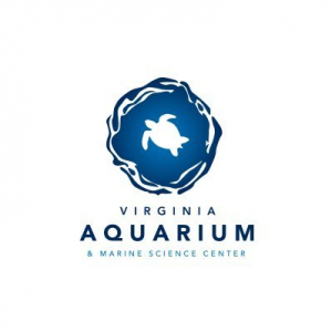 Virginia Aquarium and Marine Science Center Offers FREE Virtual Toddler Tuesdays
