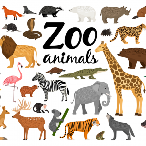 Kids Can Learn About Tigers, Giraffes and More with Free Activity Sheets from the Virginia Zoo