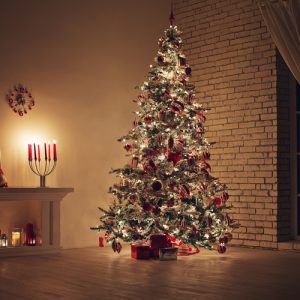 Recycle and Donate: Your Guide to Christmas Tree Disposal in Hampton Roads