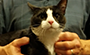 Pet of the Week – Chester