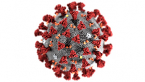 Doctor Addresses Questions Related To Safety, Effectiveness Of COVID-19 Vaccine