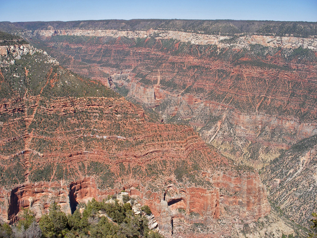 Search For Missing Mt. Airy Man Continues At Grand Canyon National  Park