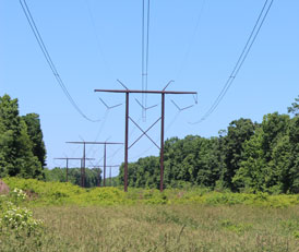 Frederick County Joining Other Jurisdictions, Other Parties, Asking PSC To Dismiss PSEG Application