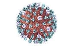 Md. Health Officials Warn About Measles Md. Health Officials Warn About Measles