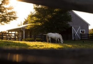 farm