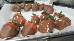 chocolate dipped strawberries