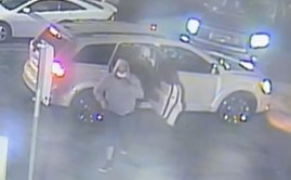 BPD Searching for Theft Suspect