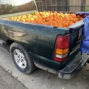 Two Men Arrested in Produce Theft Investigation