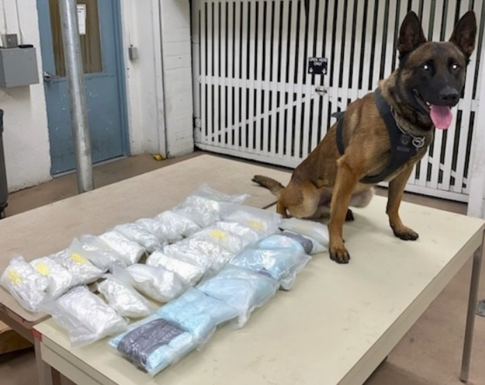 KCSO K-9 Helps Locate over 30 Pounds of Narcotics