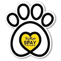 Live Remote at Together Spay It Forward