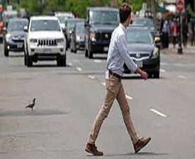 BAKERSFIELD POLICE ESSENTIALLY UNAFFECTED BY NEW JAYWALKING LAW