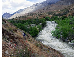 BODY RECOVERED IN KERN RIVER SEARCH