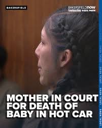 visalia mother charged with murder in heat-related death