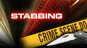 stabbing suspect arrested