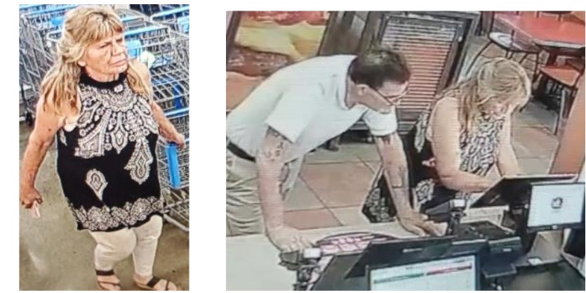 police searching for rosedale burglars