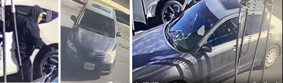 bakersfield police searching for purse snatcher