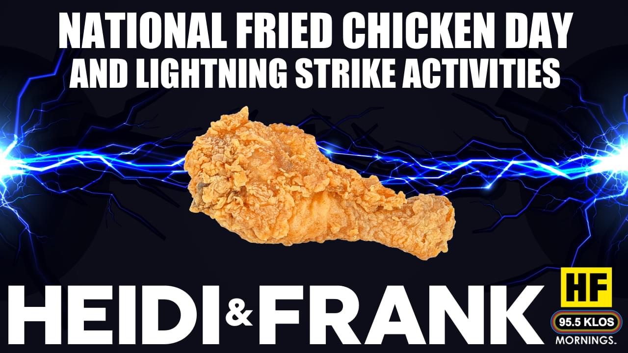 National Fried Chicken Day and Lighting Strike Activities