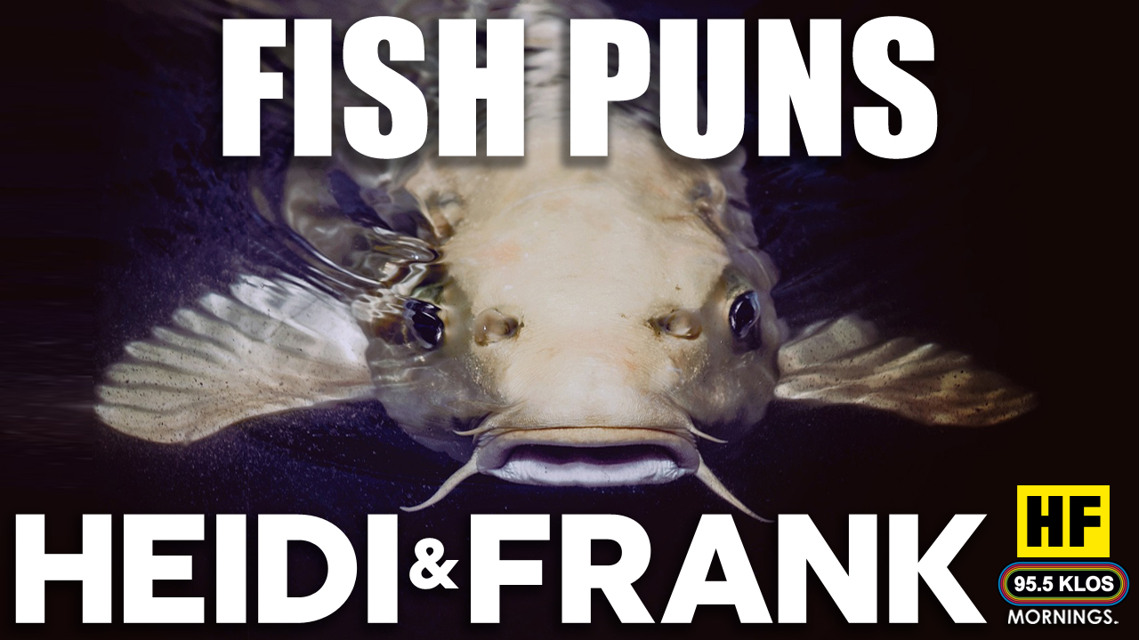 Fish Puns