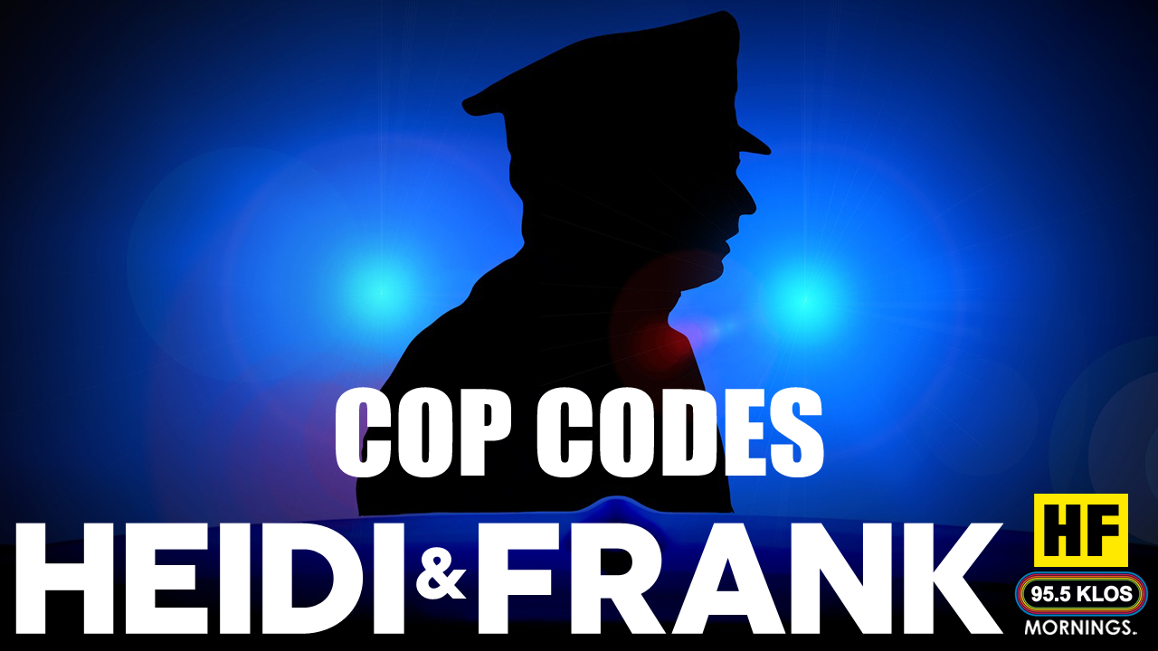 Cop Codes