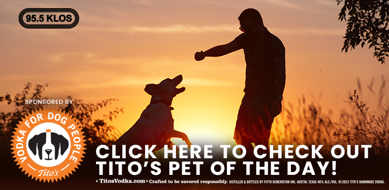 Check out Titos Pet of the Day