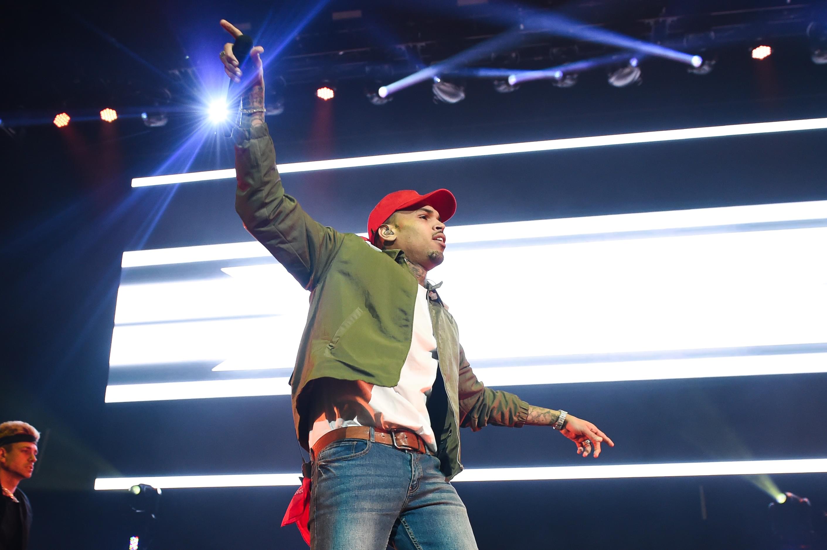 Chris Brown Could Face Jail Time For Having A Pet Monkey