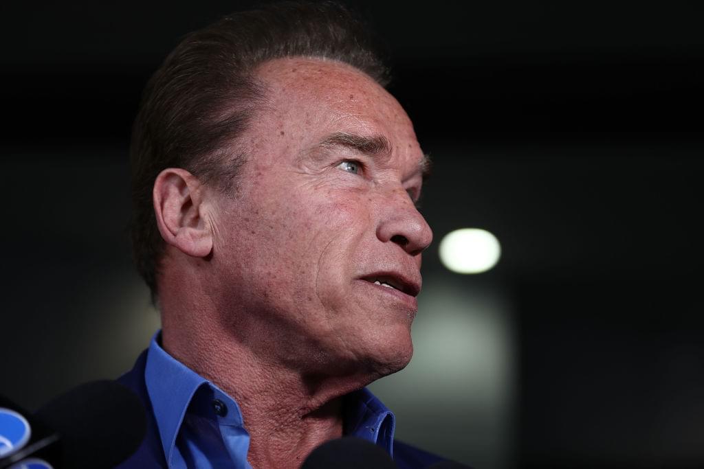 Arnold Schwarzenegger Slams Donald Trump