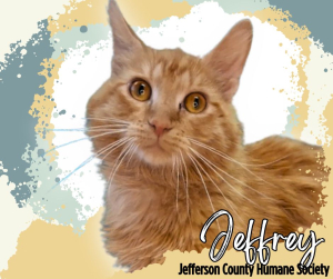 Jeffrey
