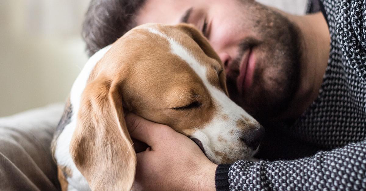 Study Shows Humans Love Dogs More Than Other Humas