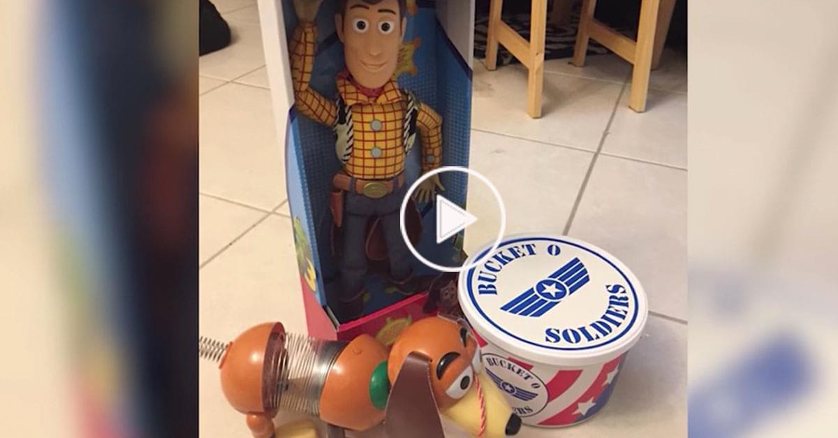 Lost Toy Gets a Big Adventure at Disney before being Returned