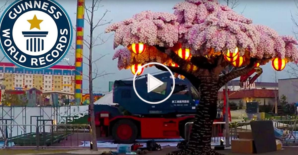 Wow! Largest Lego Brick Cherry Blossom Tree