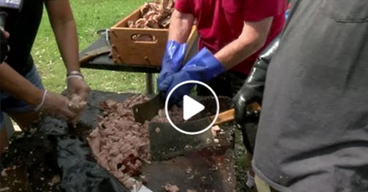 WATCH: Zebulon Man serves up 400lbs of Pork Roast in Harkers Island