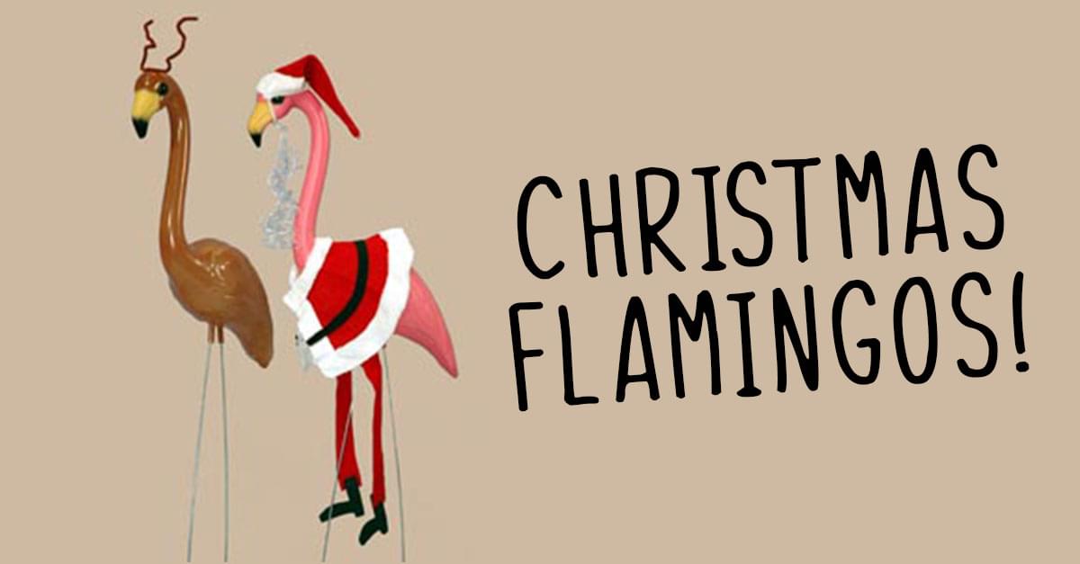 Christmas Flamingos are the New Decoration Trend