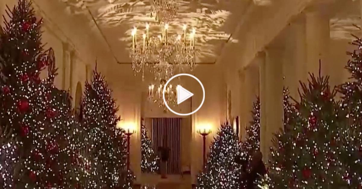 Watch: First look at White House Christmas Decorations