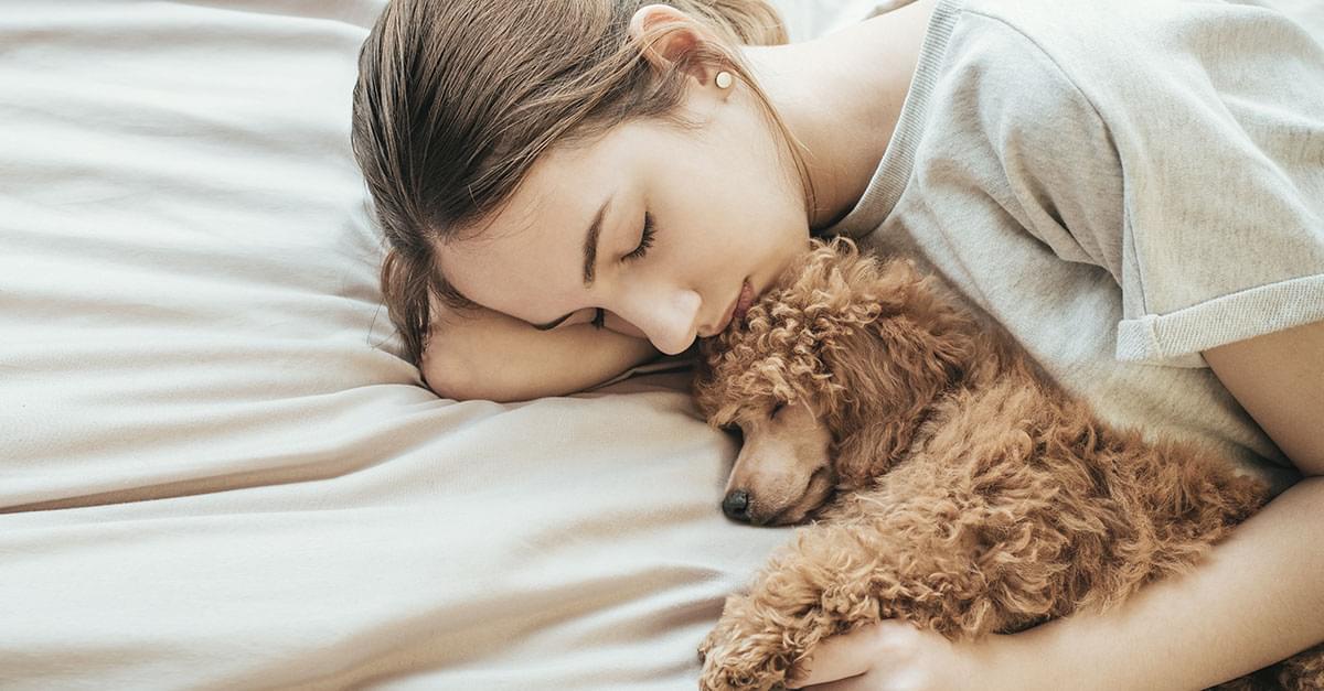 Study Finds Women get Better Sleep with a Dog on the Bed