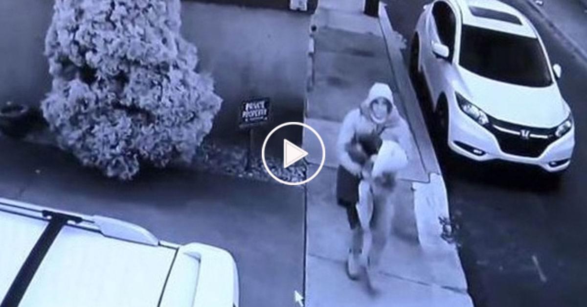 Watch: Man Leaves Boxes Filled with Kitty Litter and Feces Out for Porch Pirates
